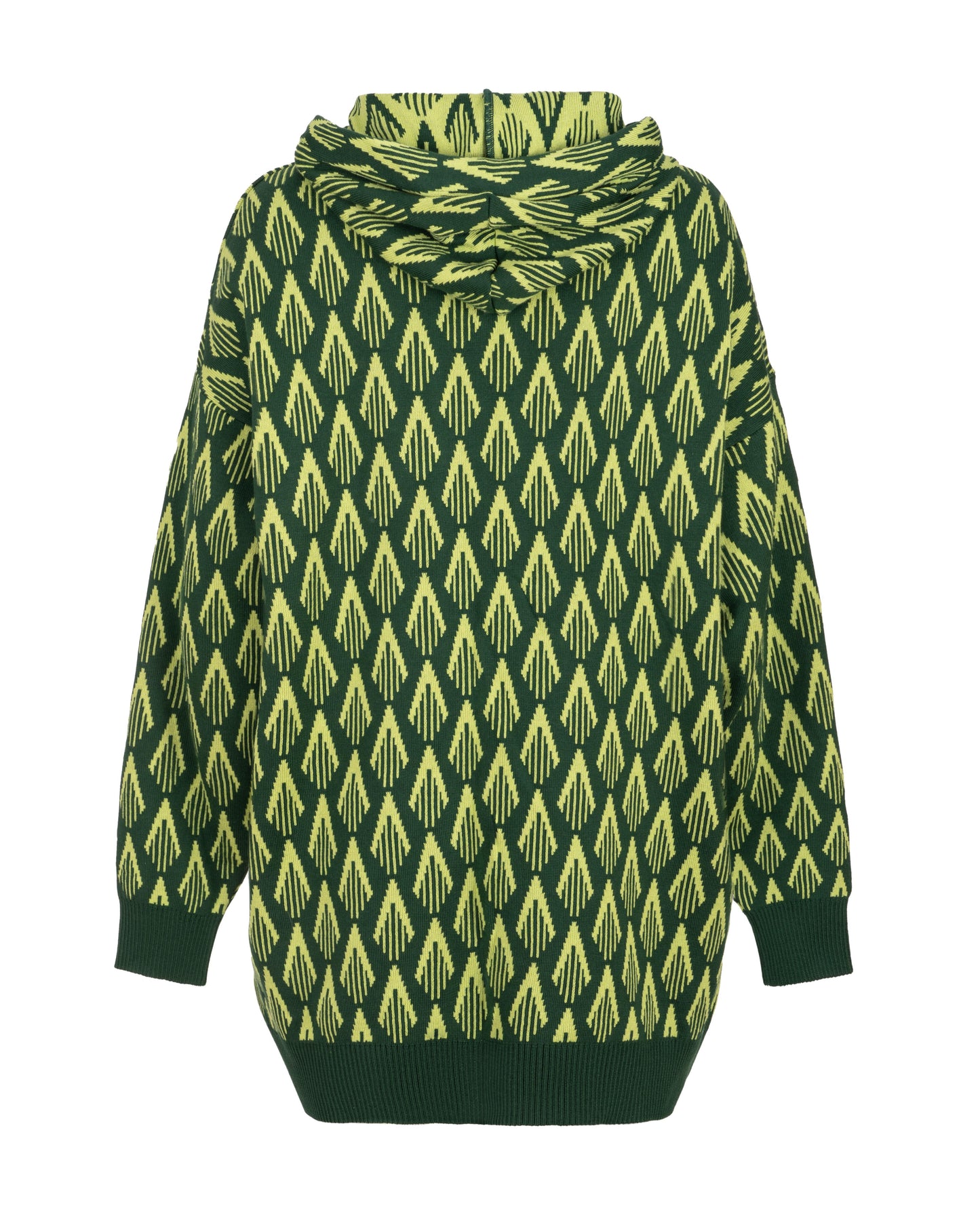 OVERSIZED HOODIE CACTUS